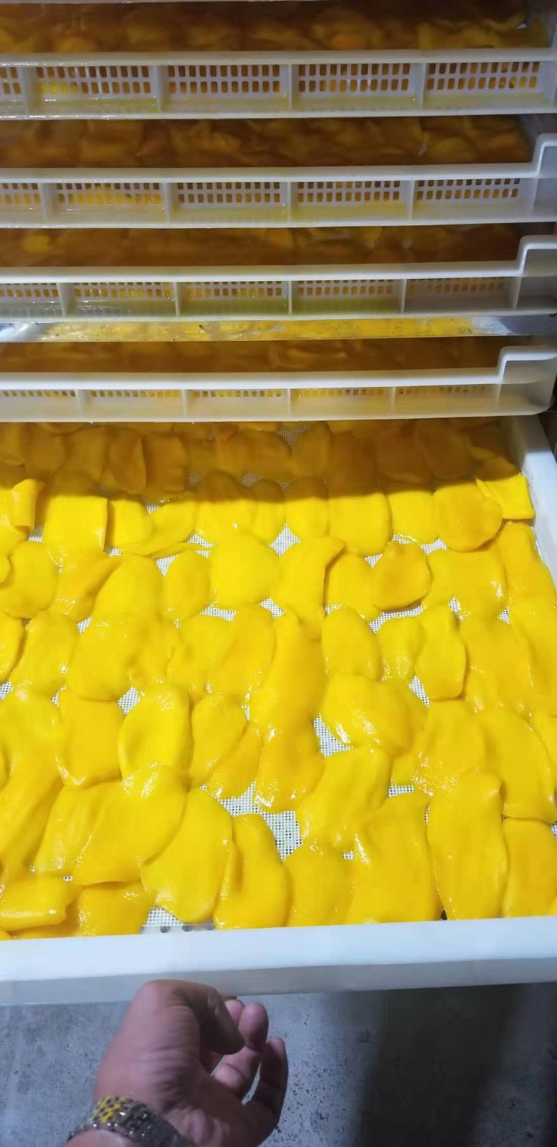 益阳玛山产业机械有限公司，湖南益阳螺旋风管厂家，热风食品烤房
