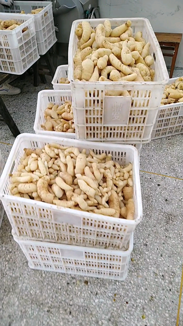益阳玛山产业机械有限公司，湖南益阳螺旋风管厂家，热风食品烤房